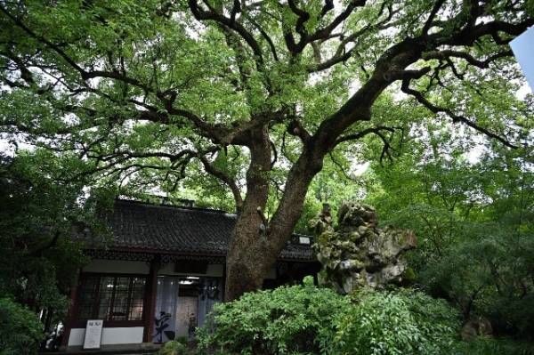 1760075859864420.jpg 13.jpg