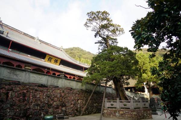 1760075865468760.jpg 14.jpg