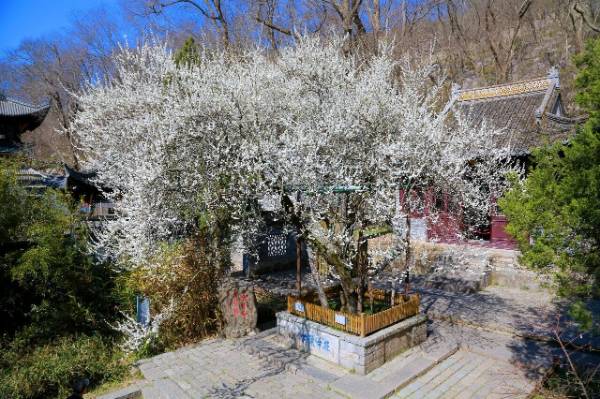 1760075877627291.jpg 15.jpg