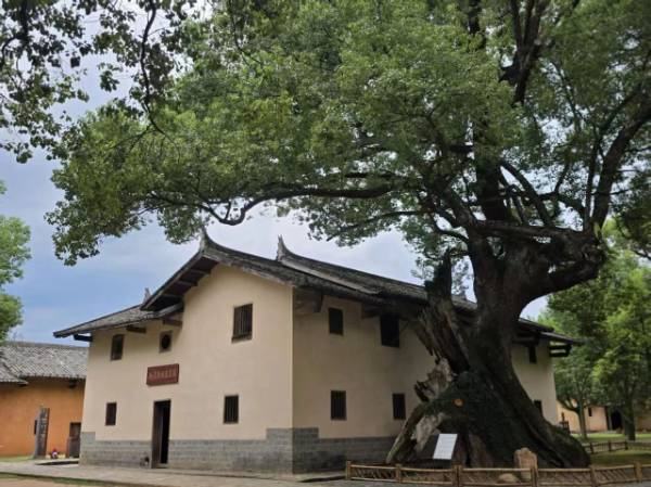 1760075896275631.jpg 18.jpg