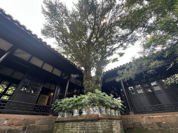 1760075908782784.jpg 19.jpg