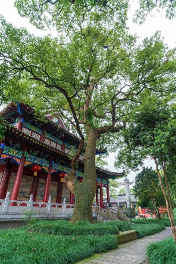 1760075921198340.jpg 21.jpg