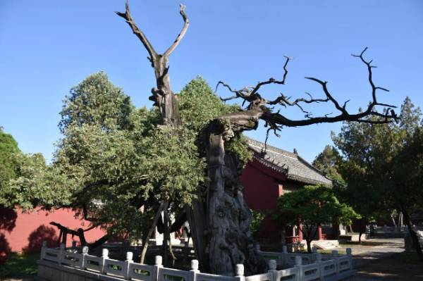 1760075952676690.jpg 25.jpg