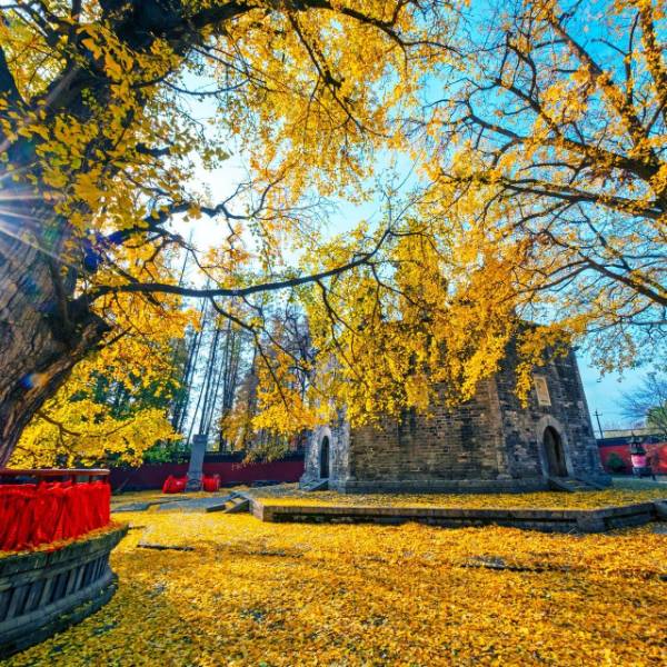 1760076060245165.jpg 27.jpg