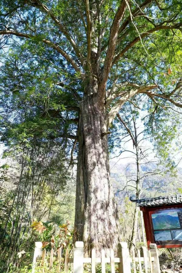 1760076070173395.png 28.png