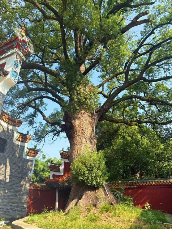 1760076087954440.jpg 30.jpg