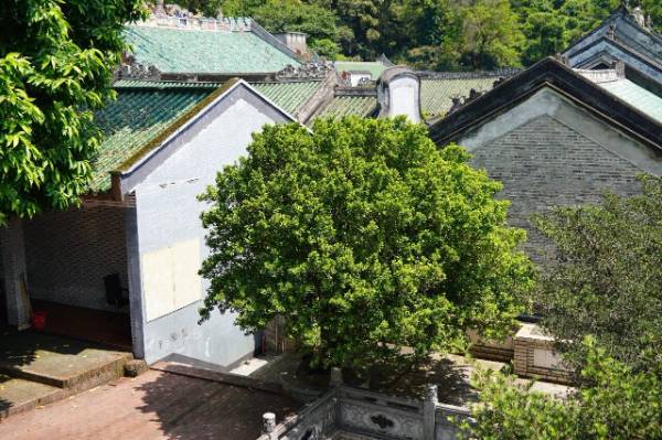 1760076104330636.jpg 31.jpg