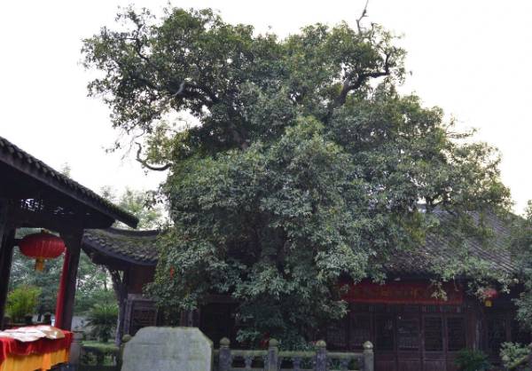 1760076114411575.jpg 32.jpg