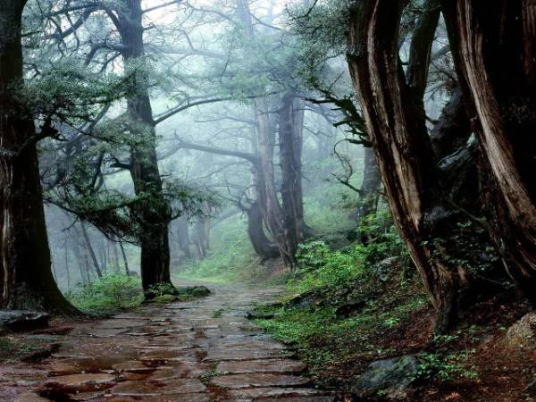 1760076130428434.jpg 35.jpg