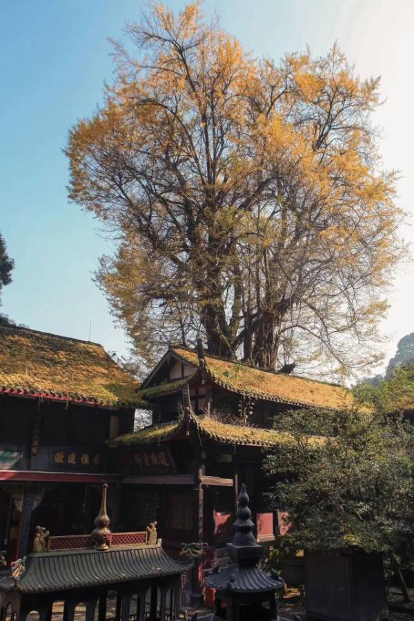 1760076142349500.jpg 36.jpg