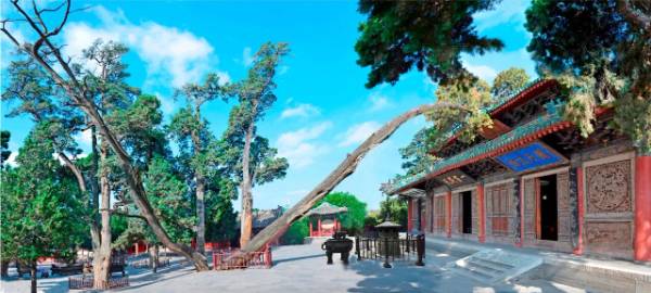 1760076206729141.jpg 42.jpg