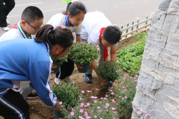 1760076382381462.jpg 1.jpg