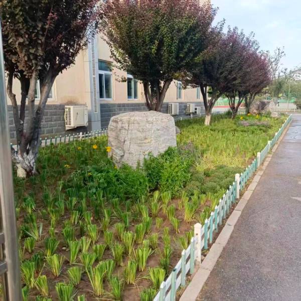 1760076396432467.jpg 4.jpg