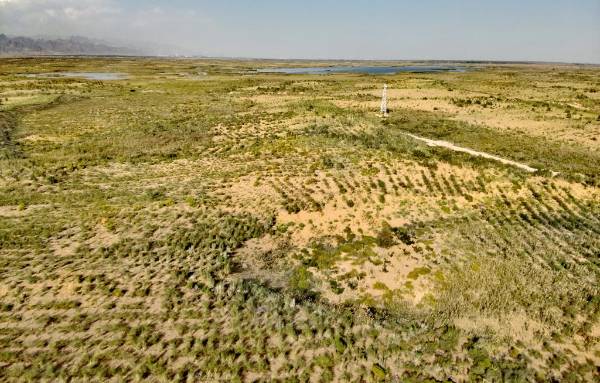 1760321456822395.jpg 2.jpg