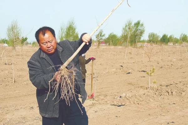 1760321574251989.jpg 4.jpg