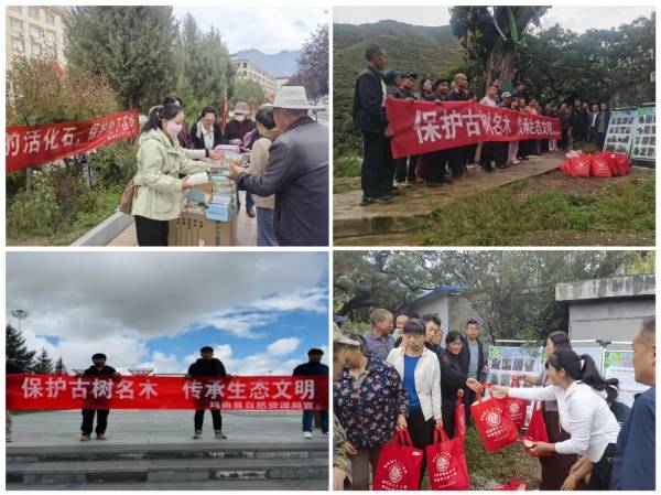 1760321698162949.jpg 640.jpg