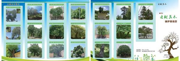 1760321739792829.jpg 640 (1) (1).jpg