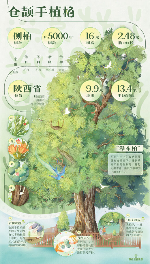 1760322076863680.jpg 1.jpg