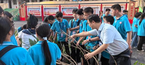 1760322539647249.jpg 5.jpg