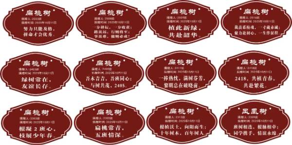 1760322546459745.jpg 6.jpg