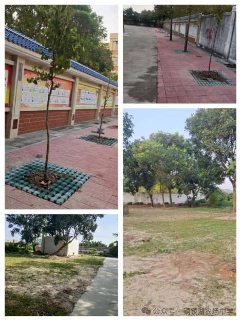 1760322760162298.png 3.png