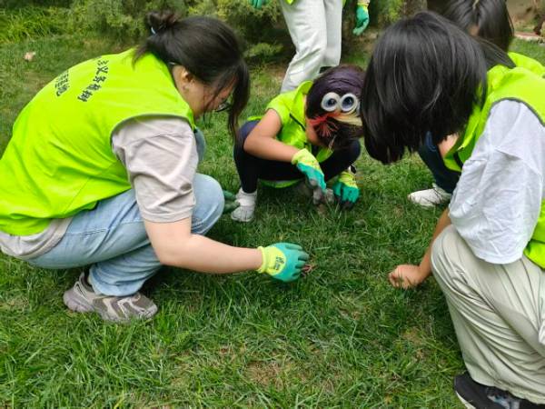 1760322902527976.jpg 5.jpg