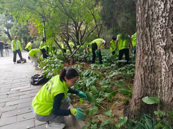 1760322905767046.jpg 6.jpg