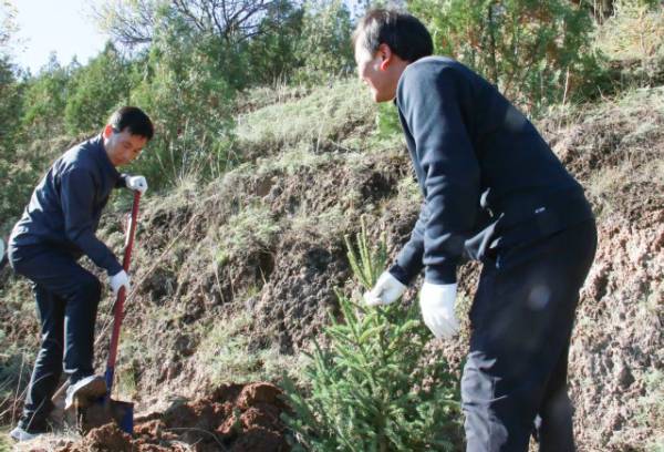 1760404712957873.jpg 1.jpg