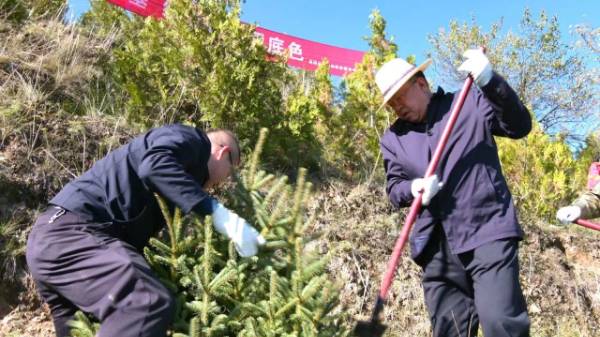 1760404719443855.jpg 2.jpg