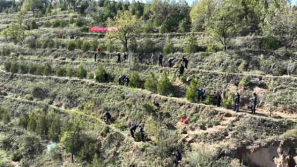 1760404725121302.jpg 3.jpg