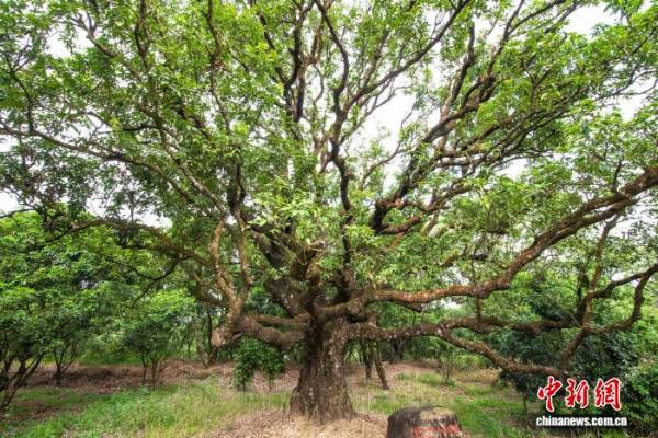 1760405204995757.jpg 21.jpg