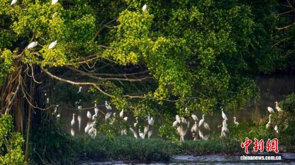 1760405221181676.jpg 22.jpg