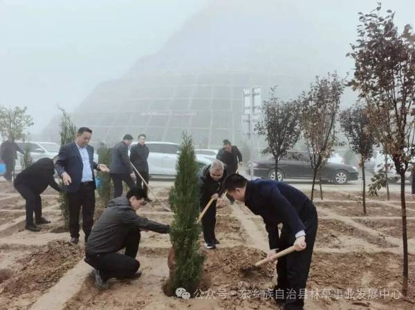 1760405835791355.jpg 8.jpg