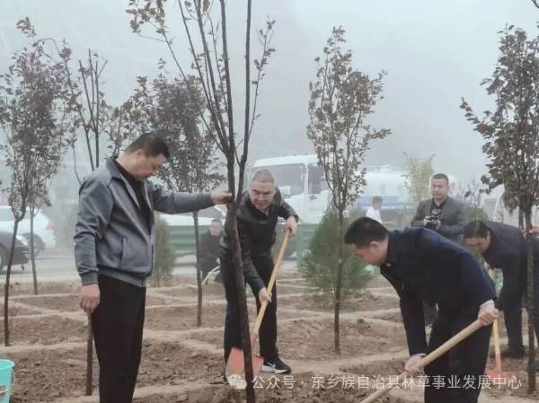 1760405844691184.jpg 9.jpg