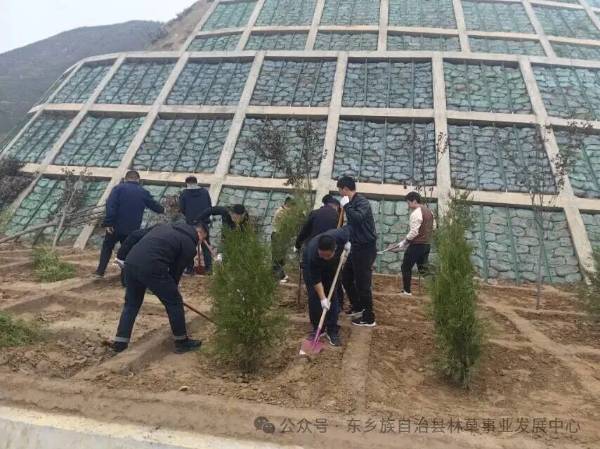 1760405847803250.jpg 10.jpg