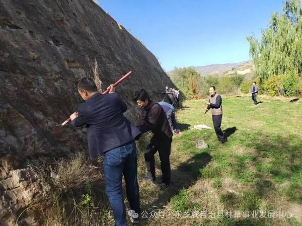 1760405879127890.jpg 12.jpg