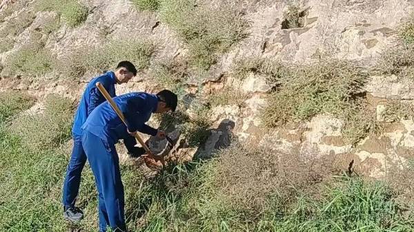 1760405886890101.jpg 14.jpg