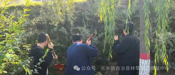 1760405889543879.jpg 15.jpg