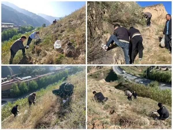 1760405895180149.jpg 16.jpg