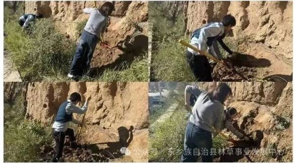 1760405898594286.jpg 17.jpg