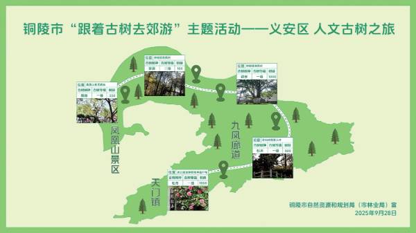 1760580062376984.jpg 1 (1).jpg