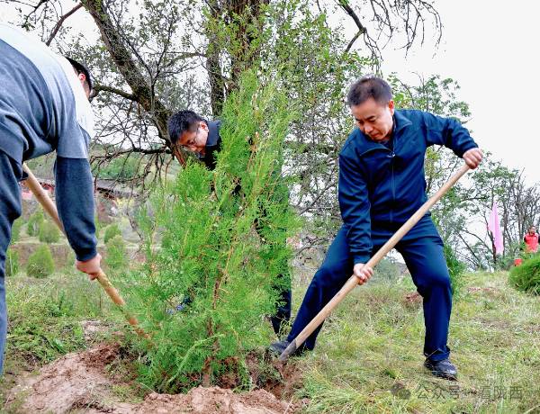 1760580762108344.jpg 1.jpg