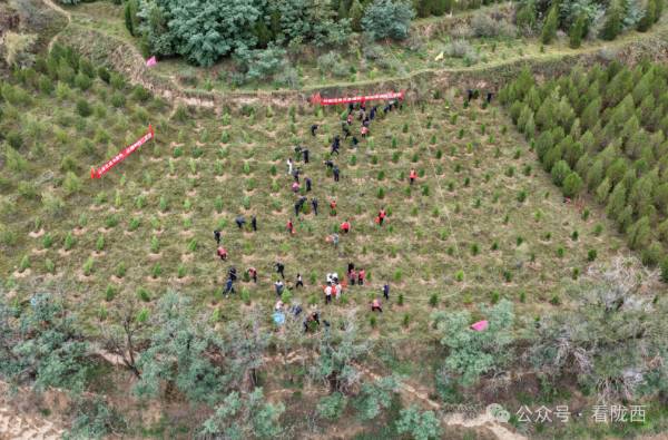 1760580788382318.png 5.png