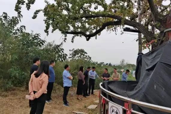 1760667148425771.jpg 1 (1).jpg