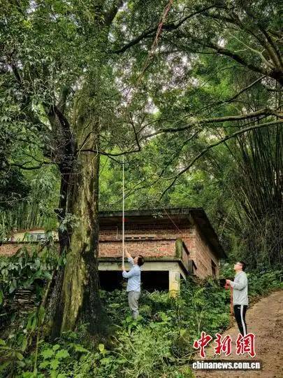 1760667295759174.jpg 2 (1).jpg