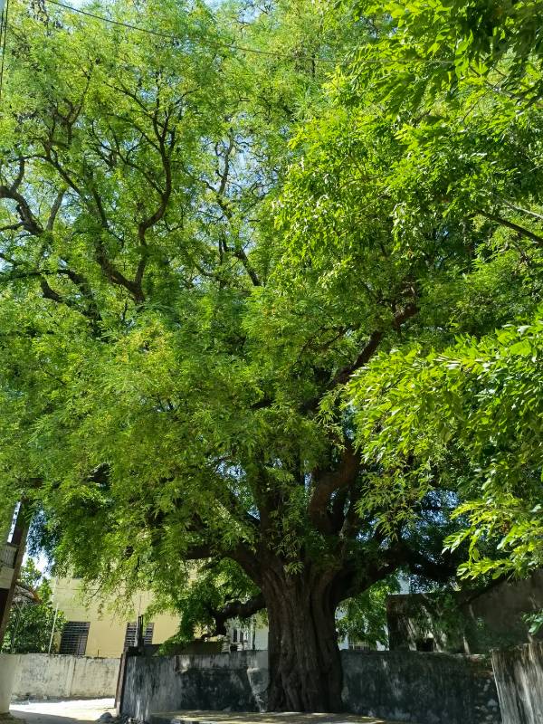 1760688775885297.jpg 11 (1).jpg