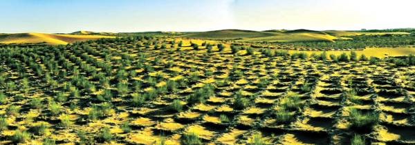 1761012189533391.jpg 3 (1).jpg