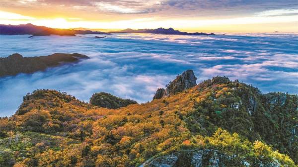 1761013263790082.jpg 2.jpg