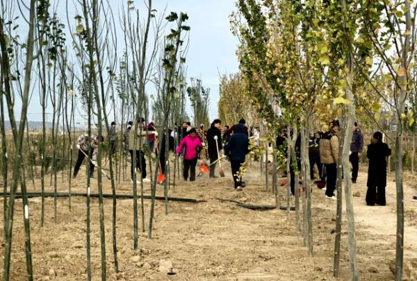 1761015088351125.jpg 11 (1).jpg