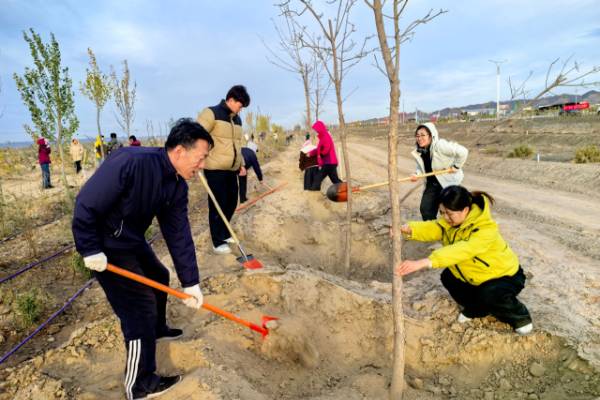 1761015102504993.jpg 33 (1).jpg